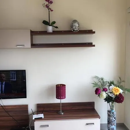 Pine Valley - Penthouse Apartament *